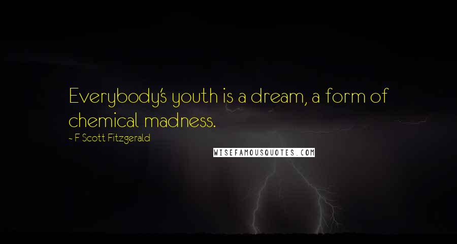 F Scott Fitzgerald Quotes: Everybody's youth is a dream, a form of chemical madness.