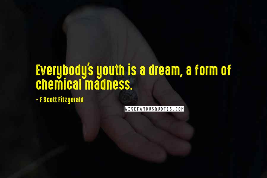 F Scott Fitzgerald Quotes: Everybody's youth is a dream, a form of chemical madness.
