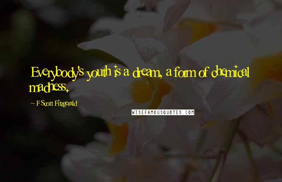 F Scott Fitzgerald Quotes: Everybody's youth is a dream, a form of chemical madness.