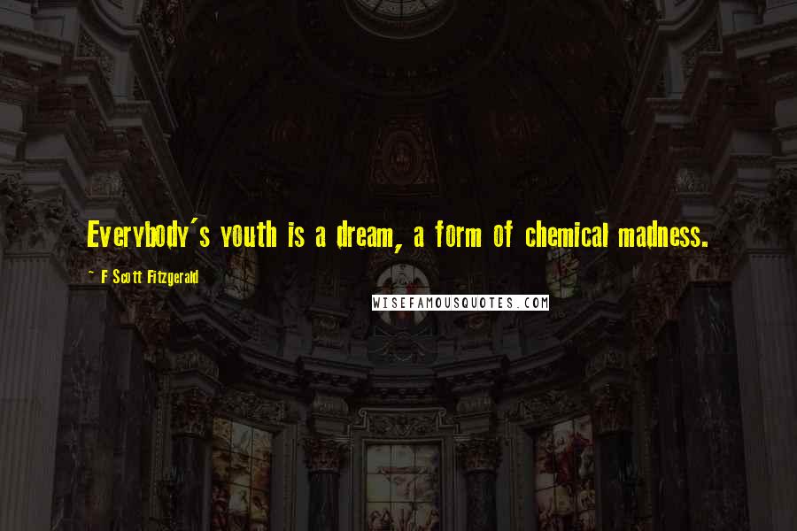 F Scott Fitzgerald Quotes: Everybody's youth is a dream, a form of chemical madness.
