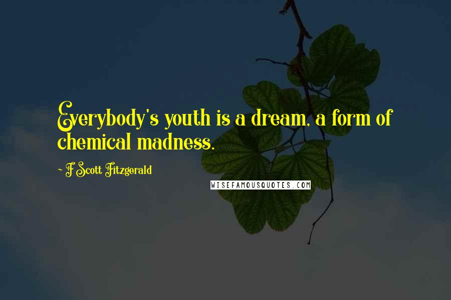 F Scott Fitzgerald Quotes: Everybody's youth is a dream, a form of chemical madness.