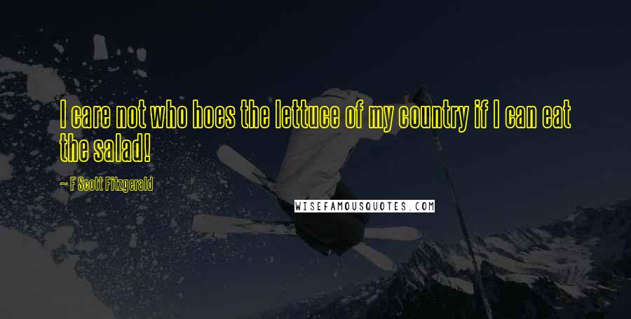 F Scott Fitzgerald Quotes: I care not who hoes the lettuce of my country if I can eat the salad!