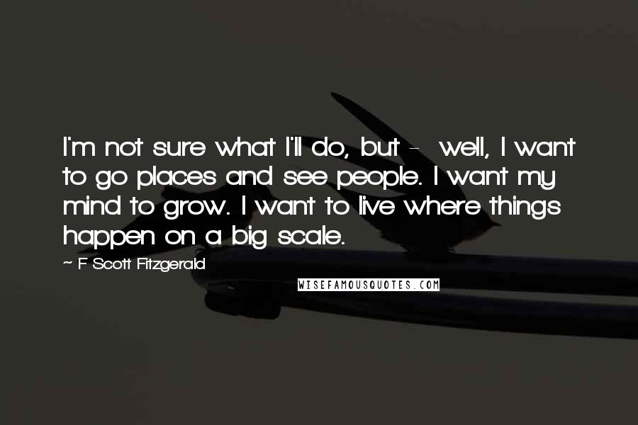 F Scott Fitzgerald Quotes: I'm not sure what I'll do, but - well, I want to go places and see people. I want my mind to grow. I want to live where things happen on a big scale.