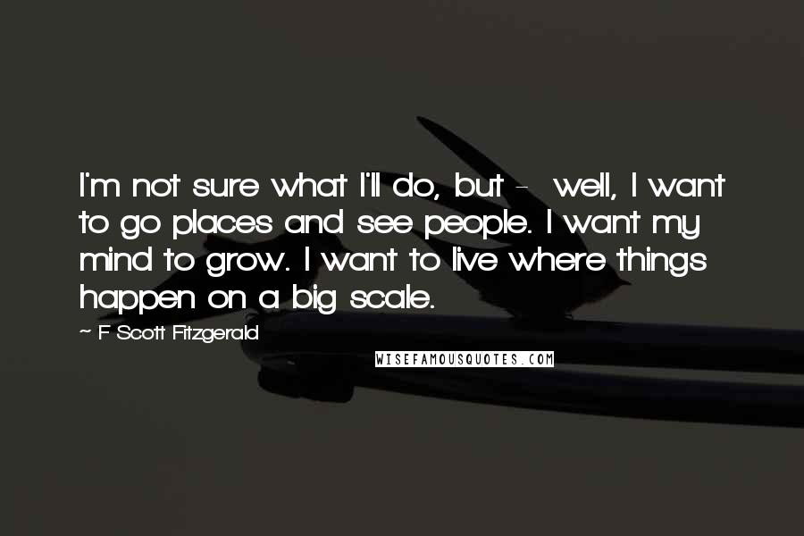 F Scott Fitzgerald Quotes: I'm not sure what I'll do, but -  well, I want to go places and see people. I want my mind to grow. I want to live where things happen on a big scale.