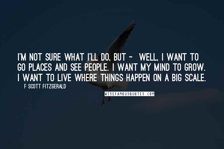 F Scott Fitzgerald Quotes: I'm not sure what I'll do, but -  well, I want to go places and see people. I want my mind to grow. I want to live where things happen on a big scale.