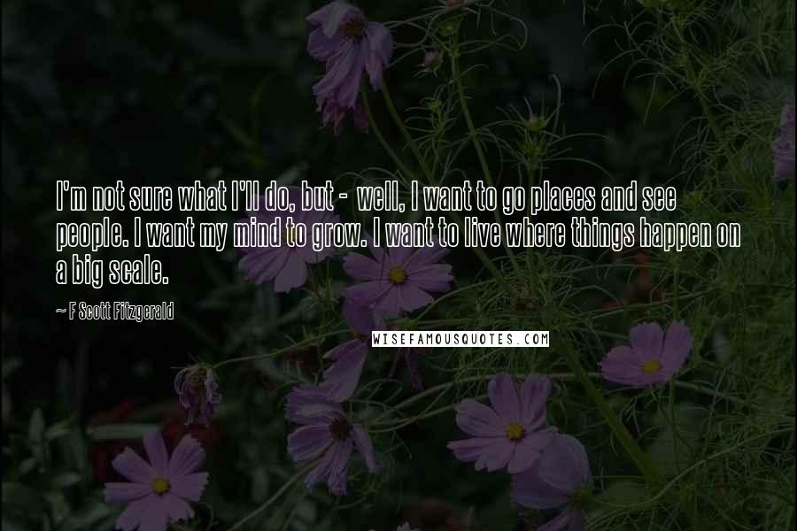 F Scott Fitzgerald Quotes: I'm not sure what I'll do, but -  well, I want to go places and see people. I want my mind to grow. I want to live where things happen on a big scale.