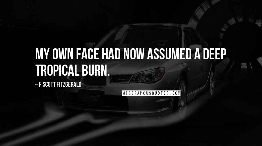 F Scott Fitzgerald Quotes: My own face had now assumed a deep tropical burn.