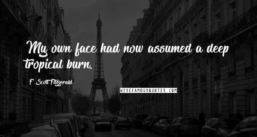 F Scott Fitzgerald Quotes: My own face had now assumed a deep tropical burn.