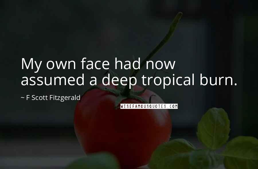 F Scott Fitzgerald Quotes: My own face had now assumed a deep tropical burn.