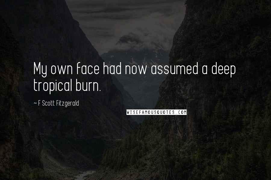 F Scott Fitzgerald Quotes: My own face had now assumed a deep tropical burn.