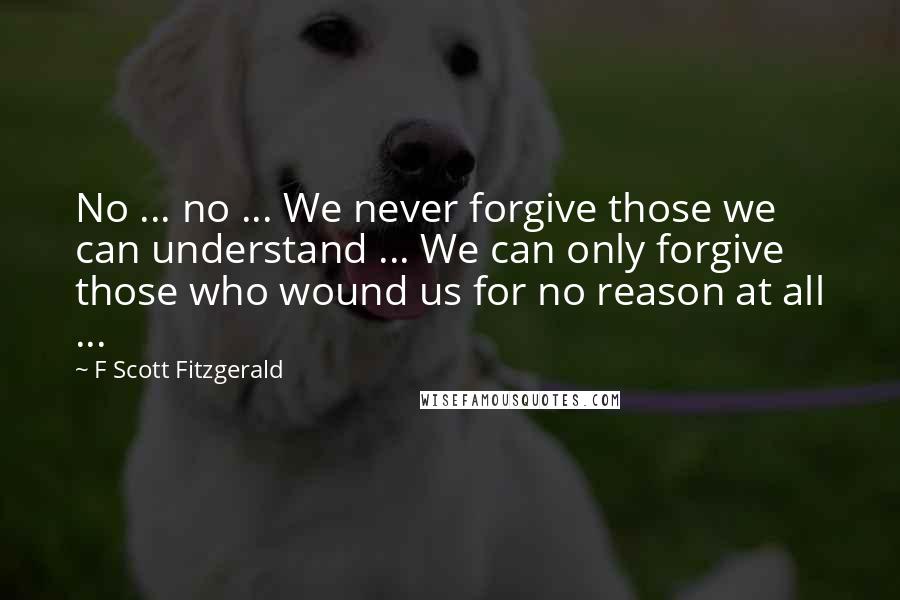 F Scott Fitzgerald Quotes: No ... no ... We never forgive those we can understand ... We can only forgive those who wound us for no reason at all ...