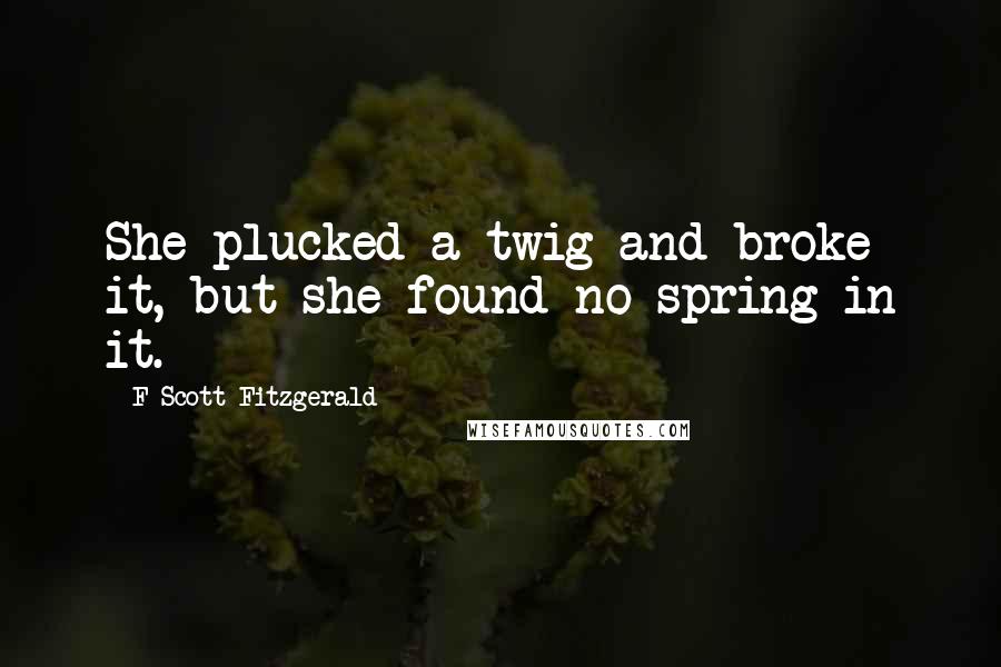 F Scott Fitzgerald Quotes: She plucked a twig and broke it, but she found no spring in it.