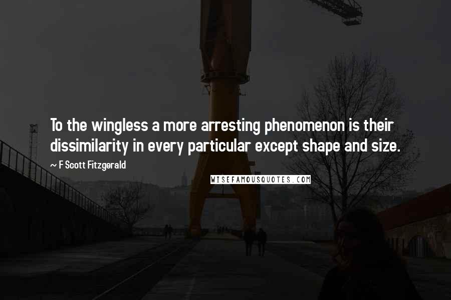 F Scott Fitzgerald Quotes: To the wingless a more arresting phenomenon is their dissimilarity in every particular except shape and size.