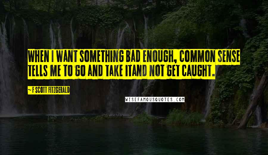 F Scott Fitzgerald Quotes: When I want something bad enough, common sense tells me to go and take itand not get caught.