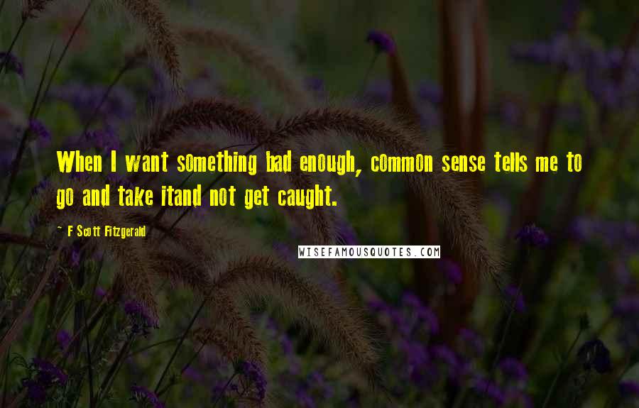 F Scott Fitzgerald Quotes: When I want something bad enough, common sense tells me to go and take itand not get caught.