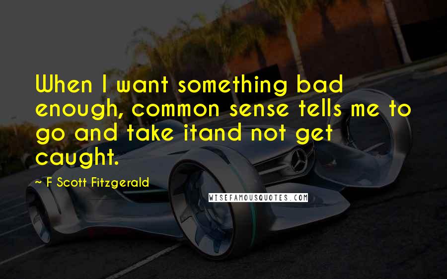 F Scott Fitzgerald Quotes: When I want something bad enough, common sense tells me to go and take itand not get caught.