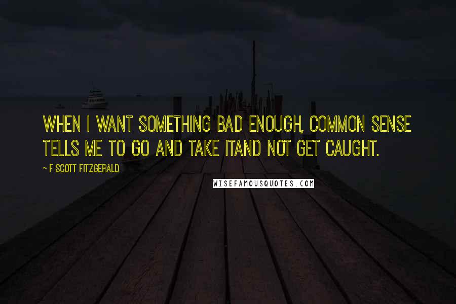 F Scott Fitzgerald Quotes: When I want something bad enough, common sense tells me to go and take itand not get caught.