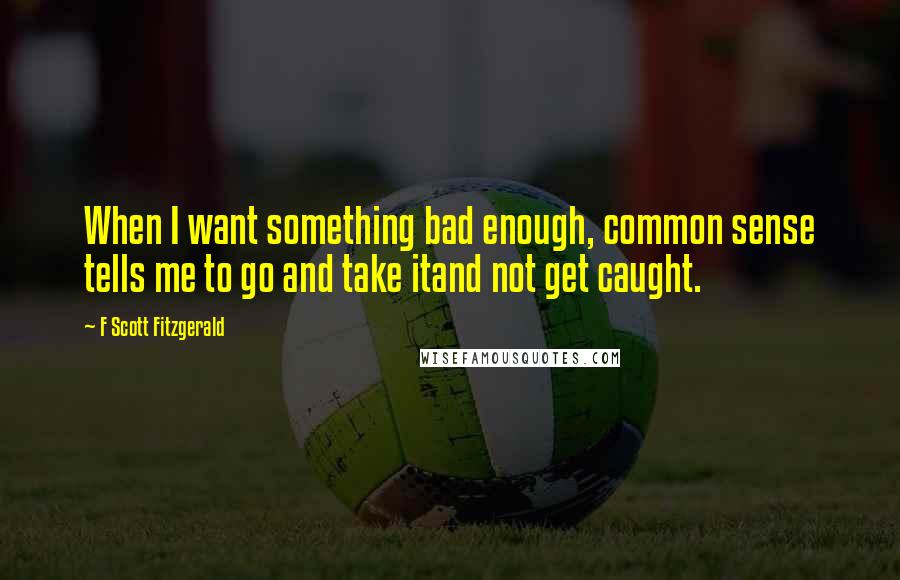 F Scott Fitzgerald Quotes: When I want something bad enough, common sense tells me to go and take itand not get caught.