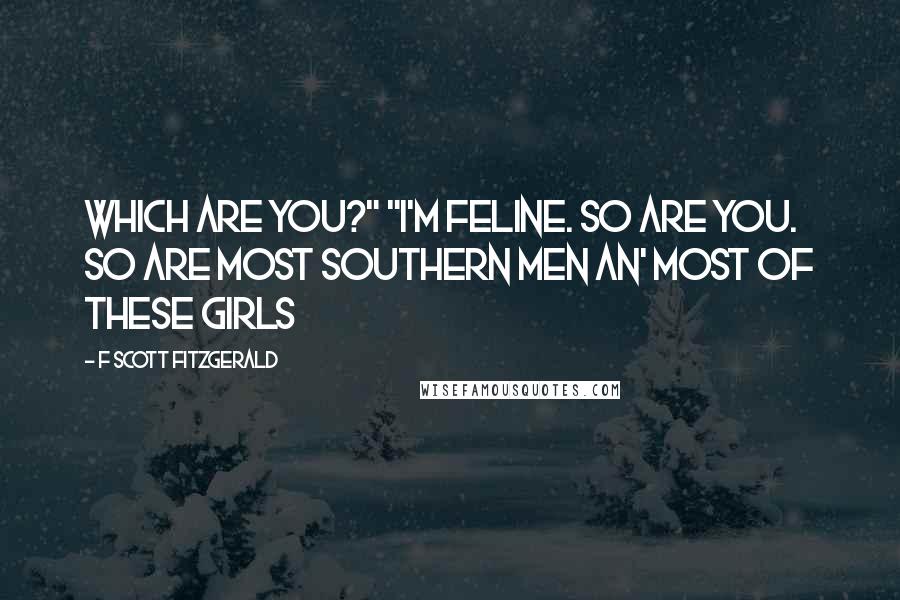 F Scott Fitzgerald Quotes: Which are you?" "I'm feline. So are you. So are most Southern men an' most of these girls