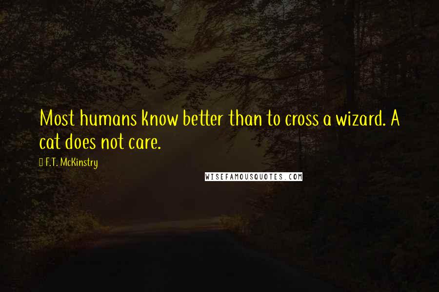 F.T. McKinstry Quotes: Most humans know better than to cross a wizard. A cat does not care.