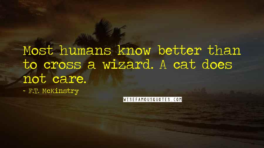 F.T. McKinstry Quotes: Most humans know better than to cross a wizard. A cat does not care.