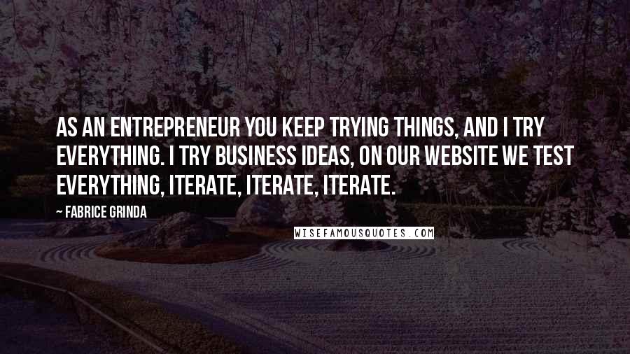 Fabrice Grinda Quotes: As an entrepreneur you keep trying things, and I try everything. I try business ideas, on our website we test everything, iterate, iterate, iterate.