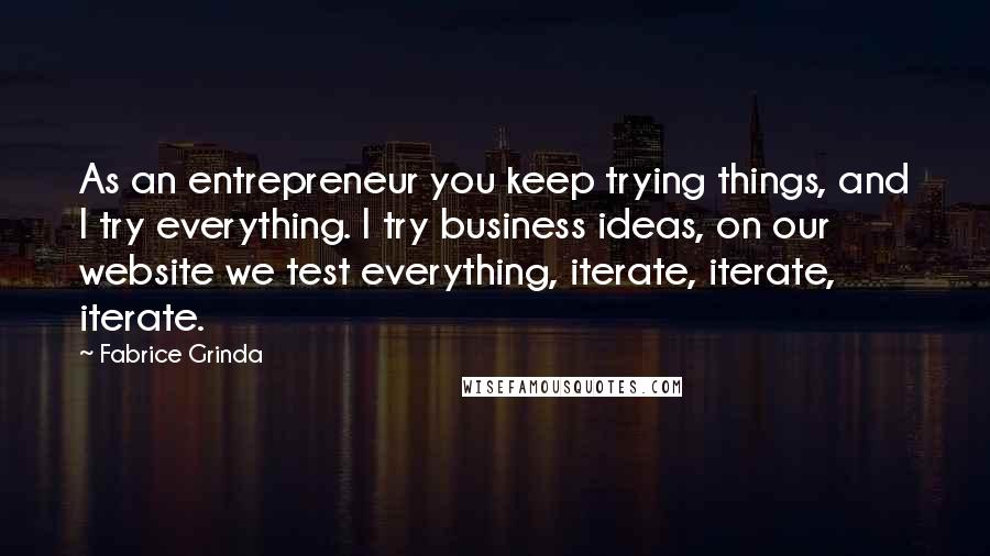 Fabrice Grinda Quotes: As an entrepreneur you keep trying things, and I try everything. I try business ideas, on our website we test everything, iterate, iterate, iterate.