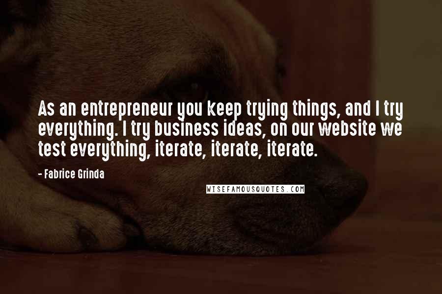 Fabrice Grinda Quotes: As an entrepreneur you keep trying things, and I try everything. I try business ideas, on our website we test everything, iterate, iterate, iterate.