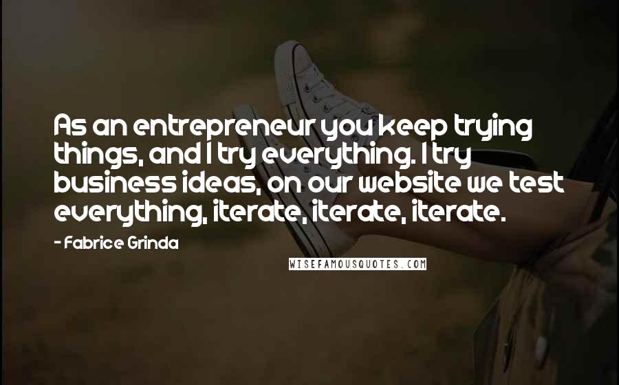 Fabrice Grinda Quotes: As an entrepreneur you keep trying things, and I try everything. I try business ideas, on our website we test everything, iterate, iterate, iterate.