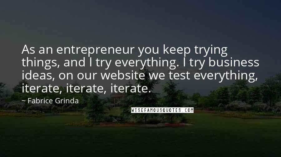 Fabrice Grinda Quotes: As an entrepreneur you keep trying things, and I try everything. I try business ideas, on our website we test everything, iterate, iterate, iterate.