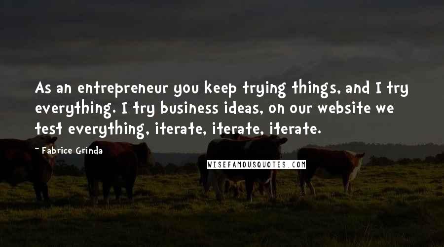 Fabrice Grinda Quotes: As an entrepreneur you keep trying things, and I try everything. I try business ideas, on our website we test everything, iterate, iterate, iterate.