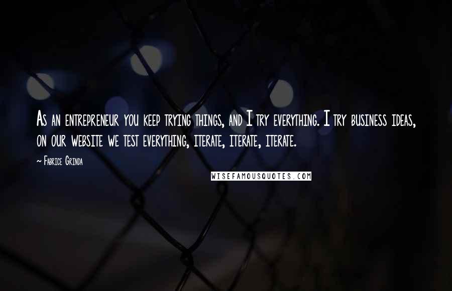 Fabrice Grinda Quotes: As an entrepreneur you keep trying things, and I try everything. I try business ideas, on our website we test everything, iterate, iterate, iterate.