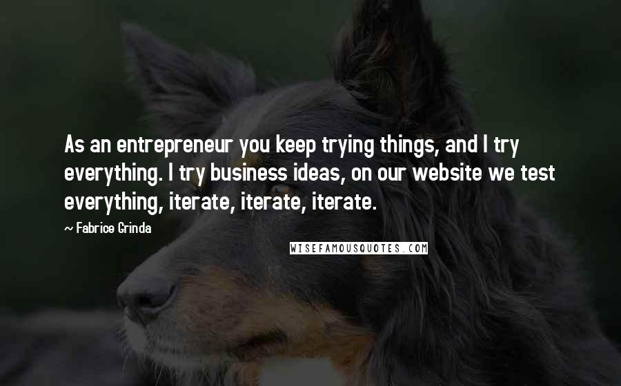 Fabrice Grinda Quotes: As an entrepreneur you keep trying things, and I try everything. I try business ideas, on our website we test everything, iterate, iterate, iterate.