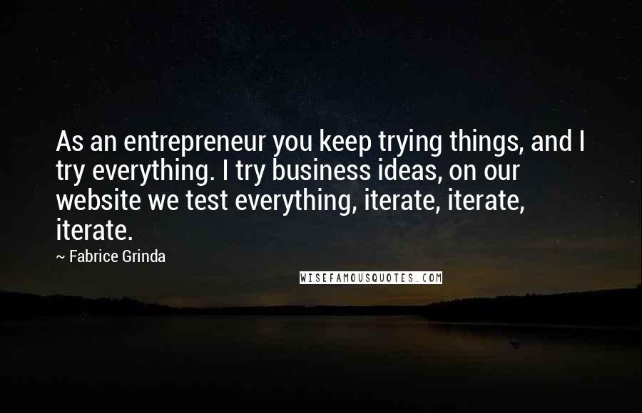 Fabrice Grinda Quotes: As an entrepreneur you keep trying things, and I try everything. I try business ideas, on our website we test everything, iterate, iterate, iterate.