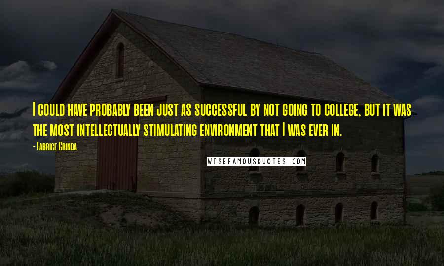 Fabrice Grinda Quotes: I could have probably been just as successful by not going to college, but it was the most intellectually stimulating environment that I was ever in.