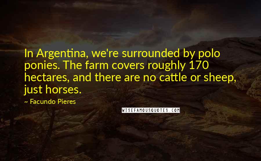 Facundo Pieres Quotes: In Argentina, we're surrounded by polo ponies. The farm covers roughly 170 hectares, and there are no cattle or sheep, just horses.