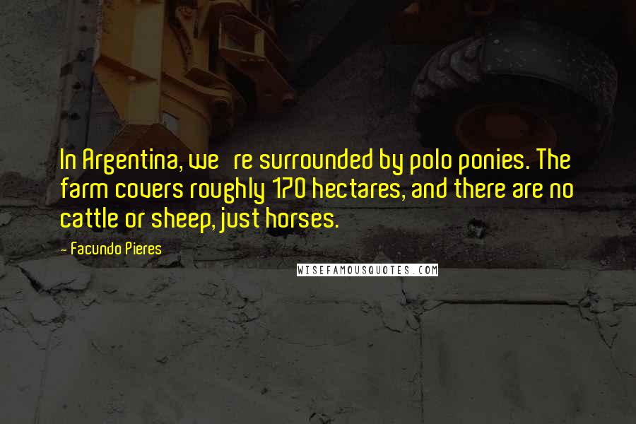 Facundo Pieres Quotes: In Argentina, we're surrounded by polo ponies. The farm covers roughly 170 hectares, and there are no cattle or sheep, just horses.