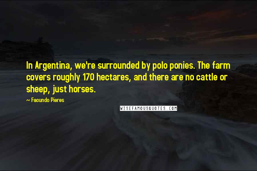 Facundo Pieres Quotes: In Argentina, we're surrounded by polo ponies. The farm covers roughly 170 hectares, and there are no cattle or sheep, just horses.