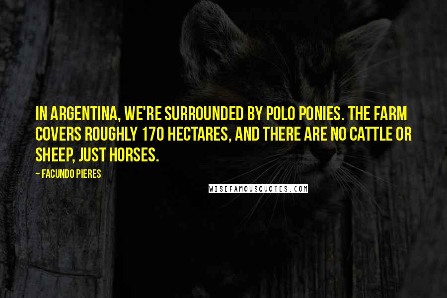 Facundo Pieres Quotes: In Argentina, we're surrounded by polo ponies. The farm covers roughly 170 hectares, and there are no cattle or sheep, just horses.