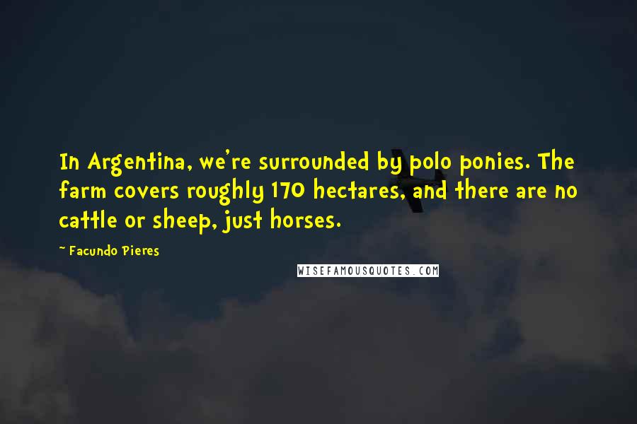 Facundo Pieres Quotes: In Argentina, we're surrounded by polo ponies. The farm covers roughly 170 hectares, and there are no cattle or sheep, just horses.