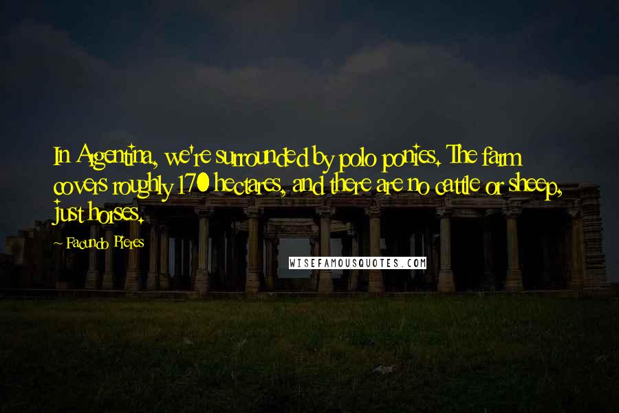 Facundo Pieres Quotes: In Argentina, we're surrounded by polo ponies. The farm covers roughly 170 hectares, and there are no cattle or sheep, just horses.