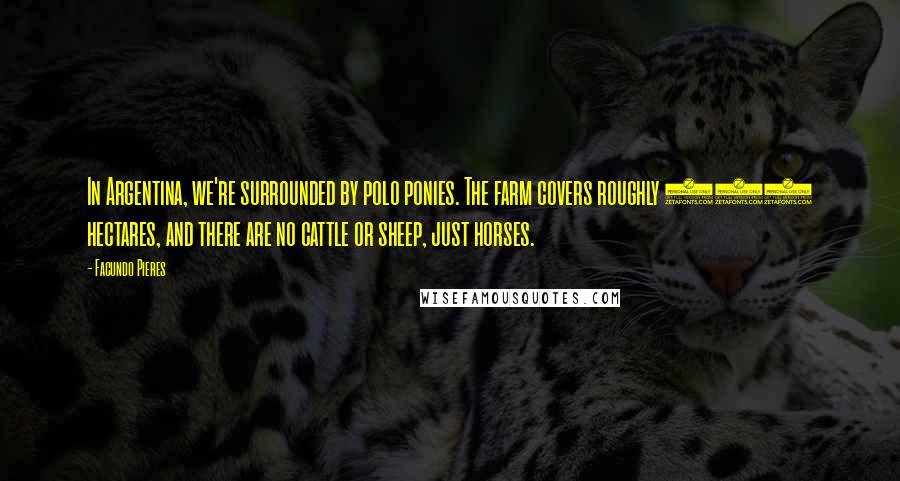 Facundo Pieres Quotes: In Argentina, we're surrounded by polo ponies. The farm covers roughly 170 hectares, and there are no cattle or sheep, just horses.