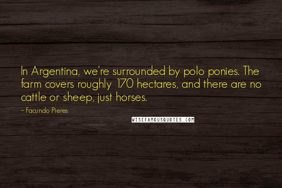 Facundo Pieres Quotes: In Argentina, we're surrounded by polo ponies. The farm covers roughly 170 hectares, and there are no cattle or sheep, just horses.