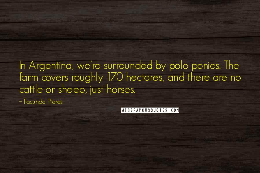 Facundo Pieres Quotes: In Argentina, we're surrounded by polo ponies. The farm covers roughly 170 hectares, and there are no cattle or sheep, just horses.
