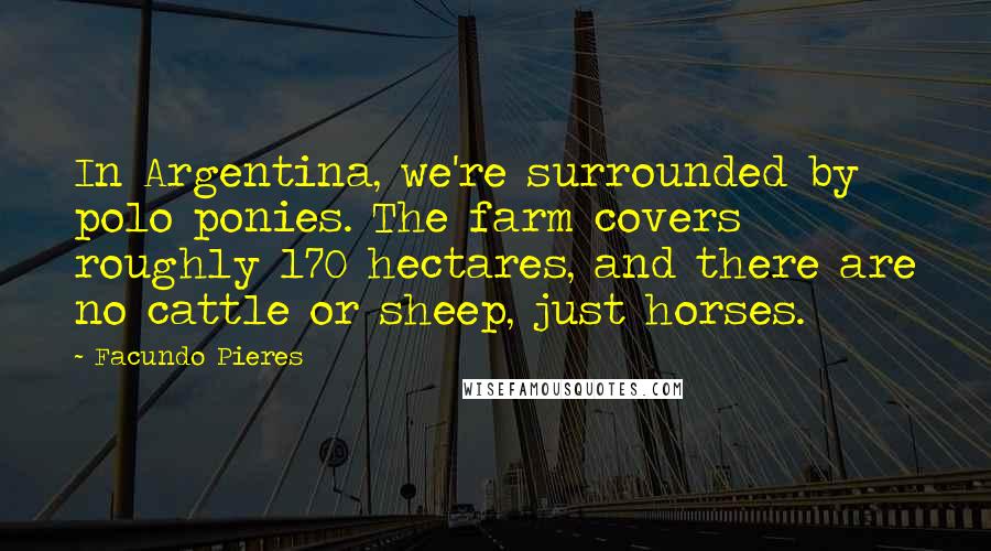 Facundo Pieres Quotes: In Argentina, we're surrounded by polo ponies. The farm covers roughly 170 hectares, and there are no cattle or sheep, just horses.