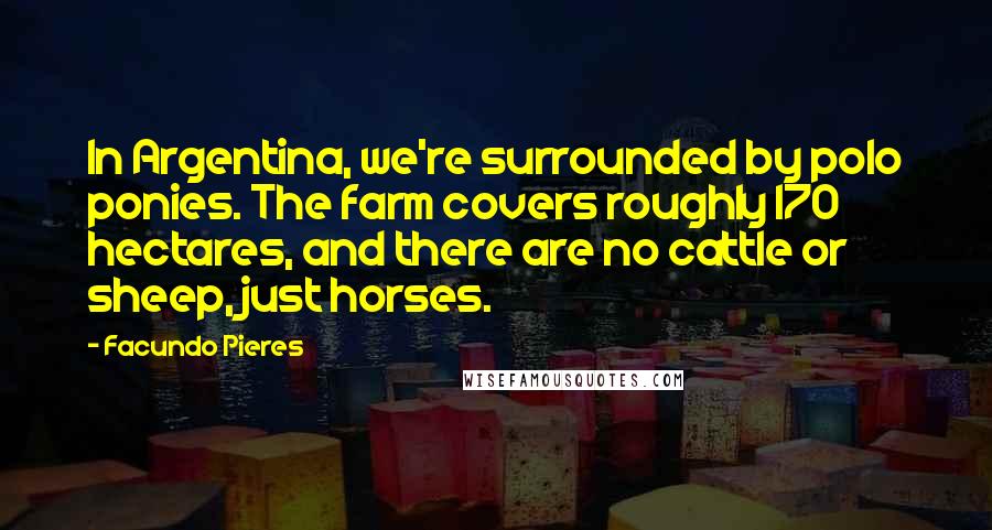 Facundo Pieres Quotes: In Argentina, we're surrounded by polo ponies. The farm covers roughly 170 hectares, and there are no cattle or sheep, just horses.