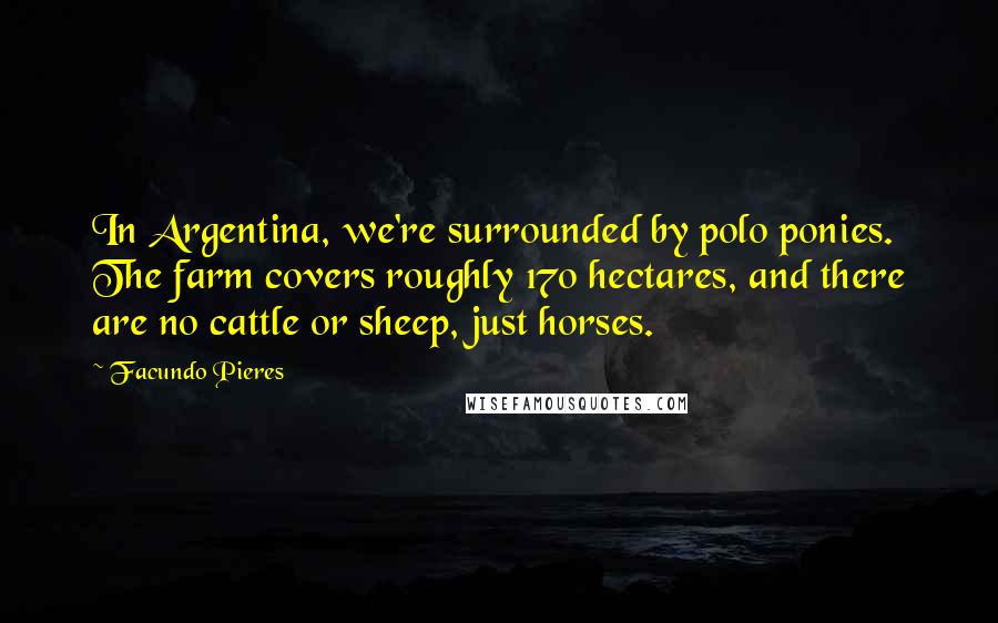 Facundo Pieres Quotes: In Argentina, we're surrounded by polo ponies. The farm covers roughly 170 hectares, and there are no cattle or sheep, just horses.