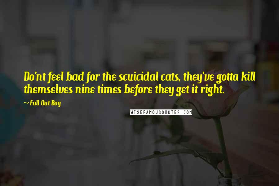 Fall Out Boy Quotes: Do'nt feel bad for the scuicidal cats, they've gotta kill themselves nine times before they get it right.