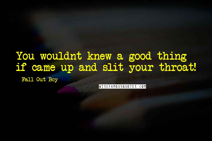 Fall Out Boy Quotes: You wouldnt knew a good thing if came up and slit your throat!