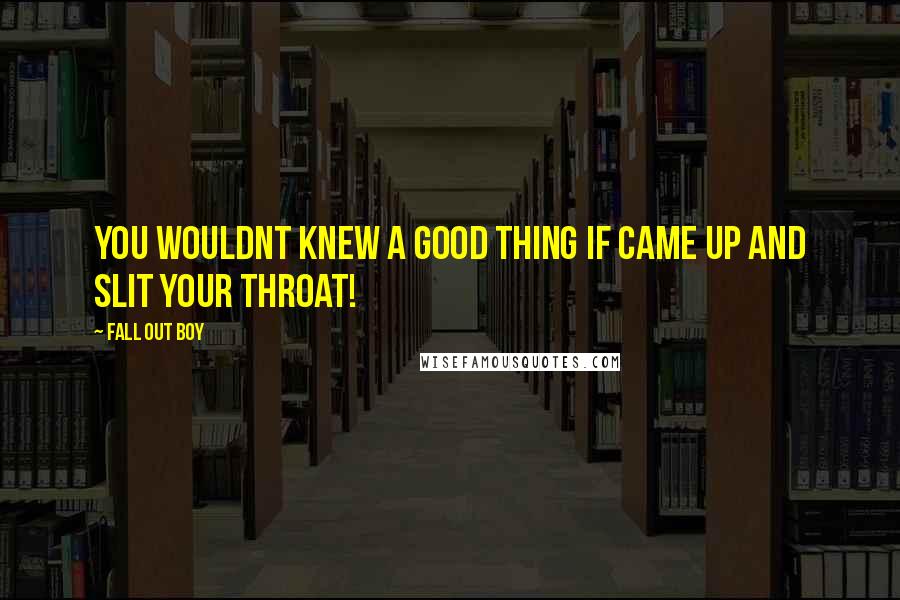 Fall Out Boy Quotes: You wouldnt knew a good thing if came up and slit your throat!